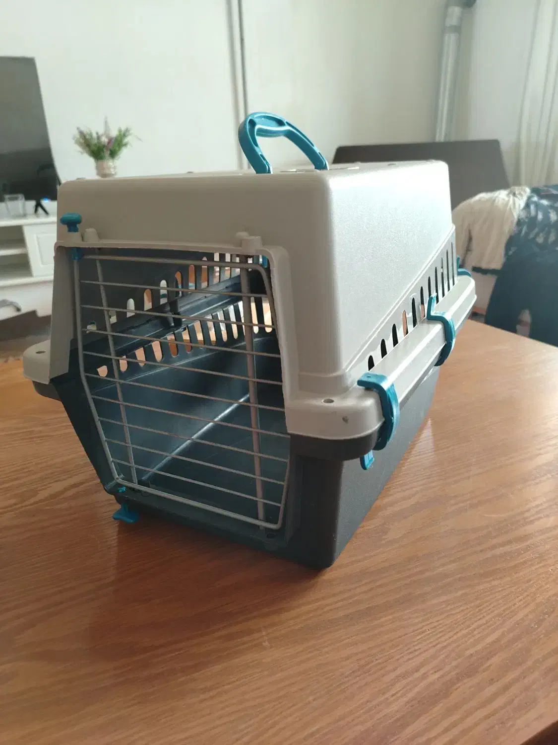 باکس نگهداری گربه|لوازم جانبی حیوانات|گنبد کاووس, |دیوار