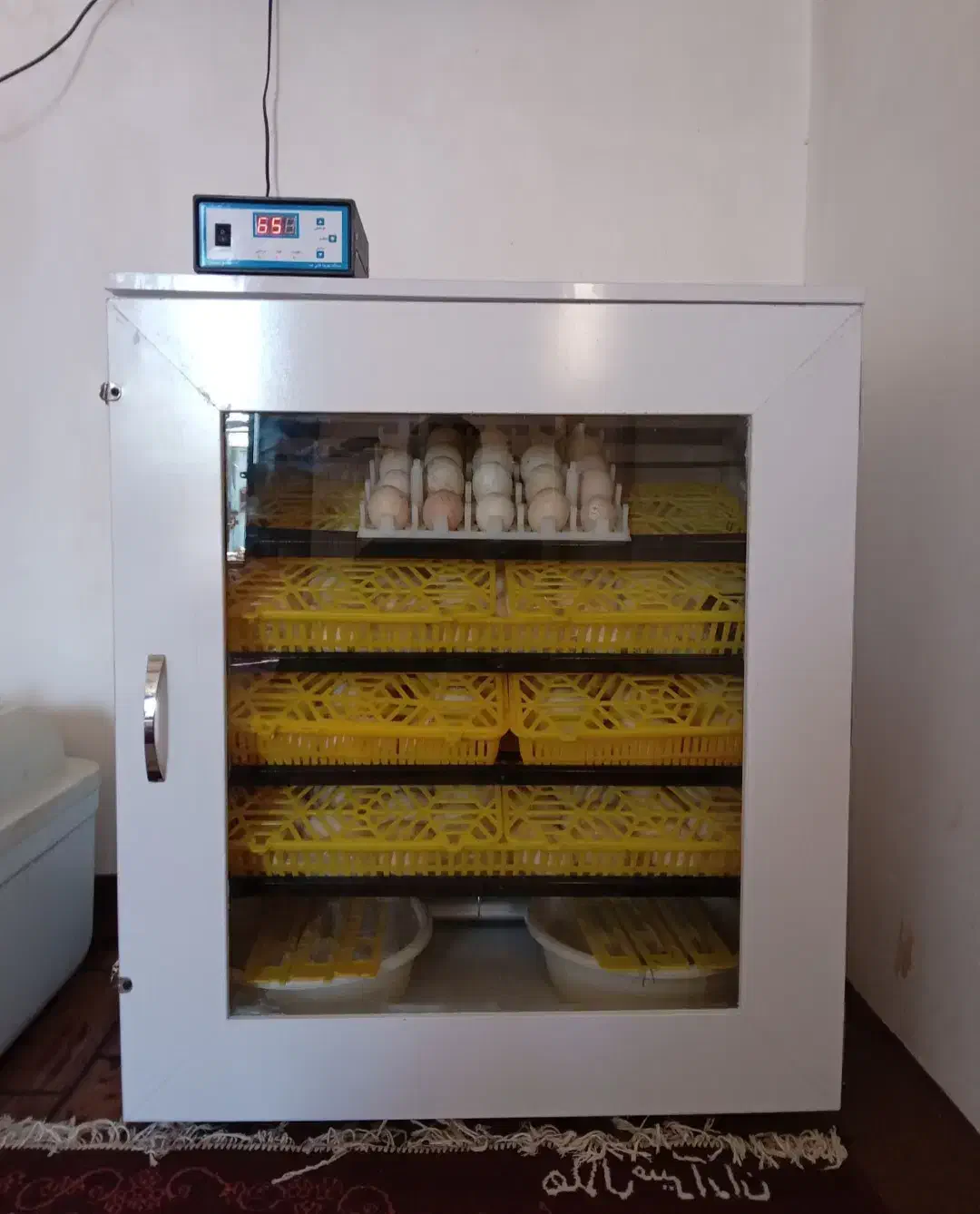 دستگاه جوجه کشی ۳۵۰ تایی هما|لوازم جانبی حیوانات|گنبد کاووس, |دیوار