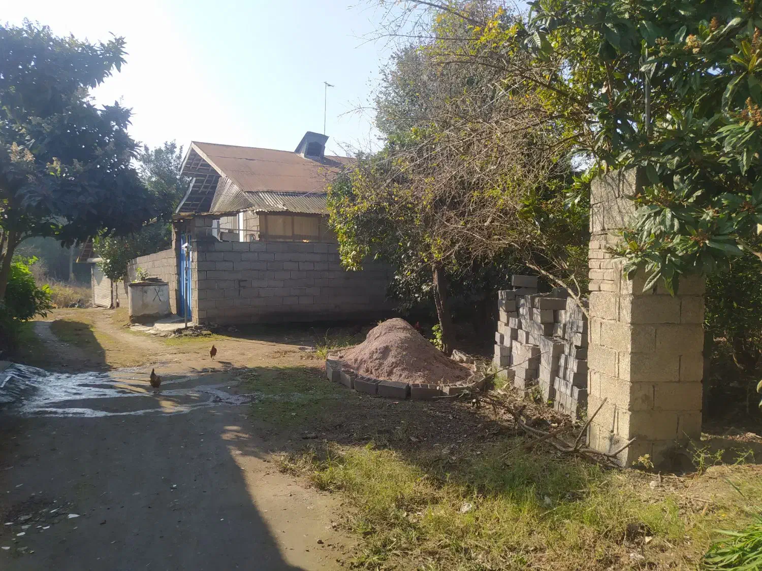 ۱۰۰ متر زمین مسکونی با بر عالی قیمت مناسب ۱۱۰۰|فروش زمین و ملک کلنگی|لنگرود, |دیوار