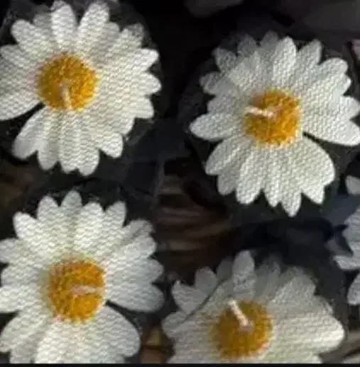 گیفت ویادگاری|زیورآلات و اکسسوری|مشهد, ایثارگران|دیوار