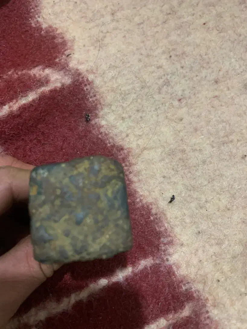 قدیمی|کلکسیون اشیاء عتیقه|تهران, آذربایجان|دیوار