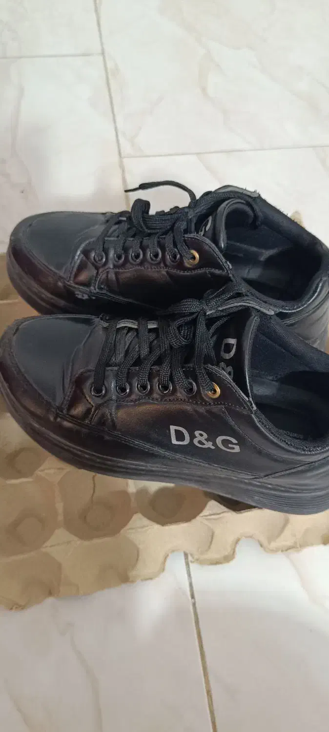 کفش سایز ۳۷|کیف، کفش، کمربند|پرند, فاز ۵|دیوار