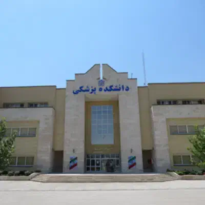 مشاور کنکور، دانشجوی پزشکی مشهد|خدمات آموزشی|مشهد, کوثر|دیوار