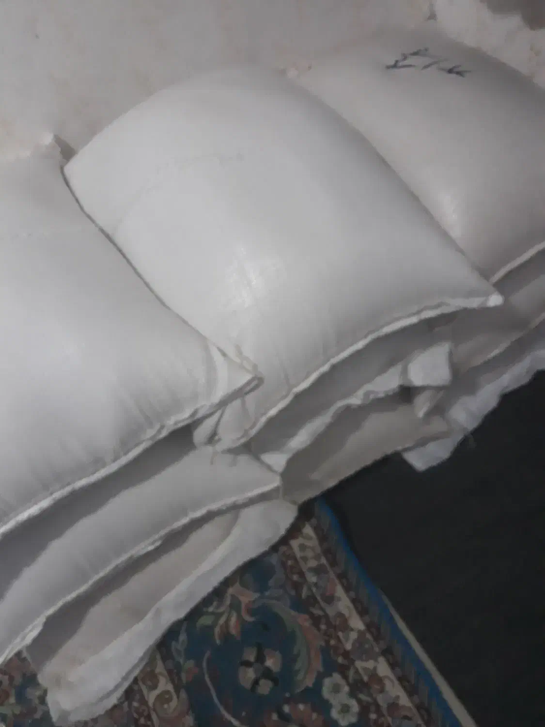 لاشه فجردسوزنی|خوردنی و آشامیدنی|تاتار علیا, |دیوار