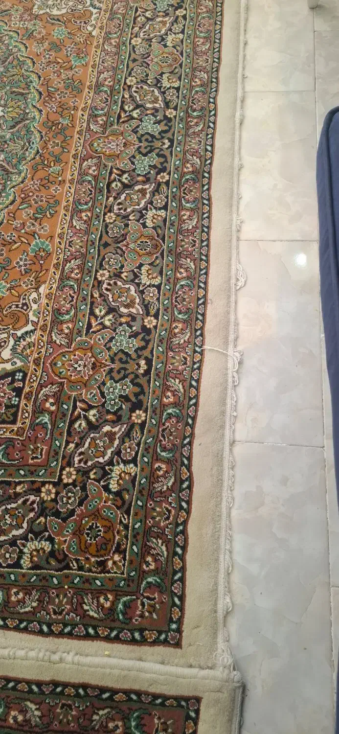 فرش ماشینی ۶ متری|فرش|پردیس, فاز ۸|دیوار