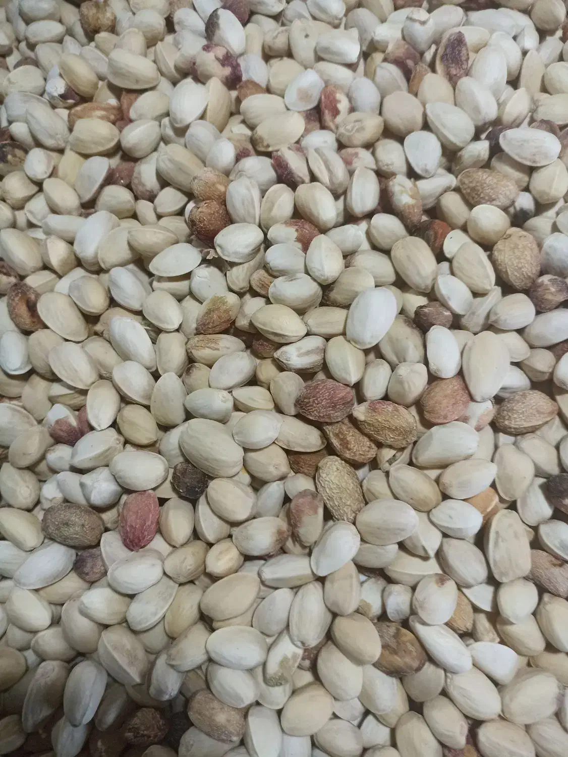 پسته‌پوک|خوردنی و آشامیدنی|شاهین‌شهر, عطار|دیوار