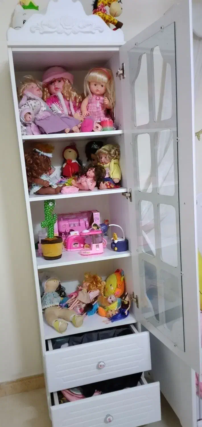 کتابخانه ویترین قفسه سالم در حد نو|کتابخانه، شلف، قفسههای دیواری|باغستان, |دیوار