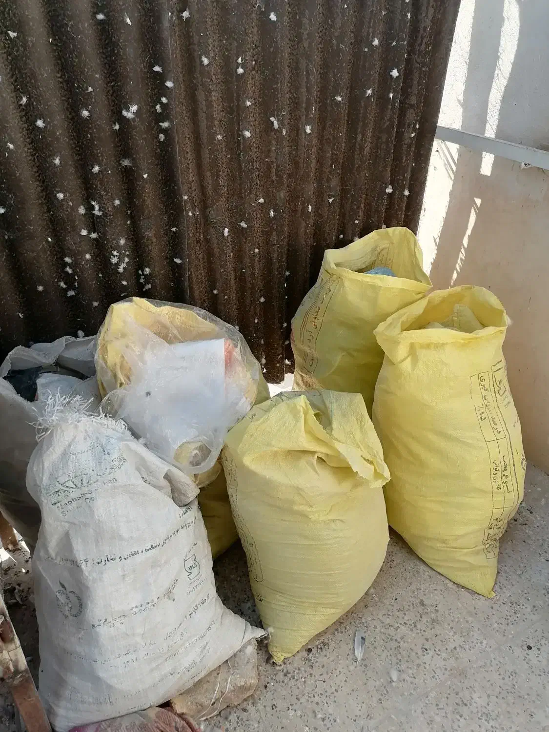 کود فزله چلغوز فضله کبوتر کفتر|گل و گیاه طبیعی|نجف‌آباد, رجایی شمالی|دیوار