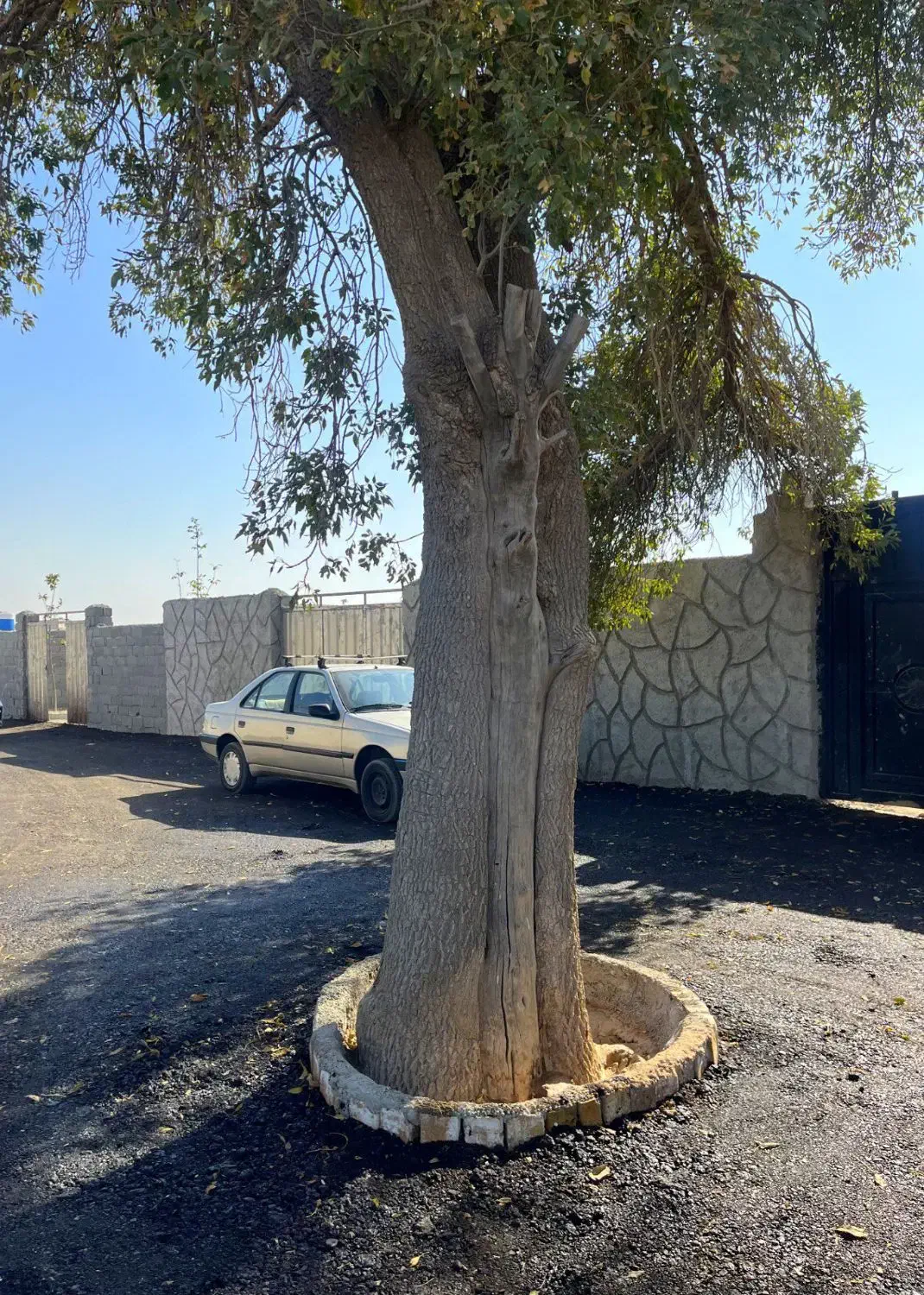 باغچه*چسب انشعابات *خرید از مالک|فروش زمین و ملک کلنگی|اسلامشهر, شهرک احمدیه|دیوار