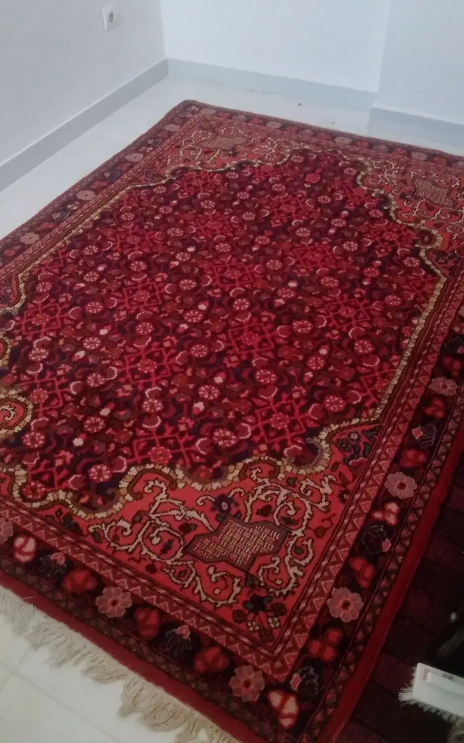 قالیچه دستبافت اراک|فرش|قم, پردیسان|دیوار