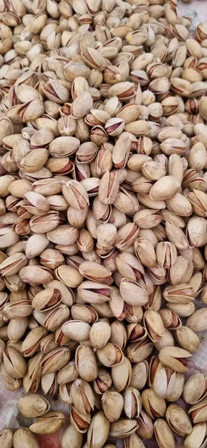 پسته ی خشک امساله|خوردنی و آشامیدنی|قم, شهرک قدس|دیوار