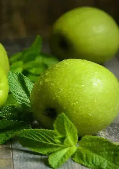 توزیع و ارائه نهال سیب سبز|خدمات باغبانی و درختکاری|میانه, |دیوار