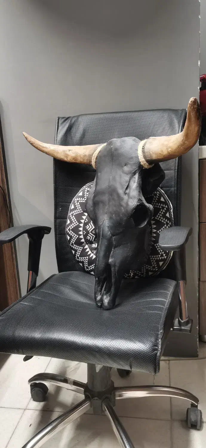 دیوارکوب جمجمه گاو|مجسمه، تندیس، ماکت|یزد, |دیوار