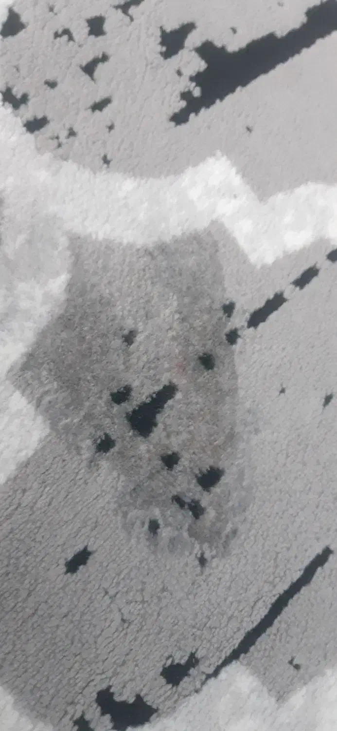 گلیم ۹متری سالم فقط یک جای سوختگی داره|گلیم، جاجیم، گبه|کرمانشاه, |دیوار