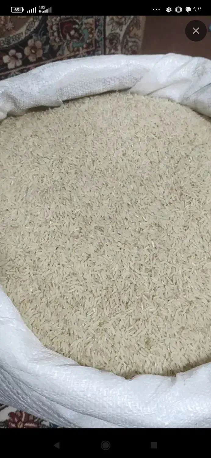 برنج|خوردنی و آشامیدنی|آزادشهر, |دیوار