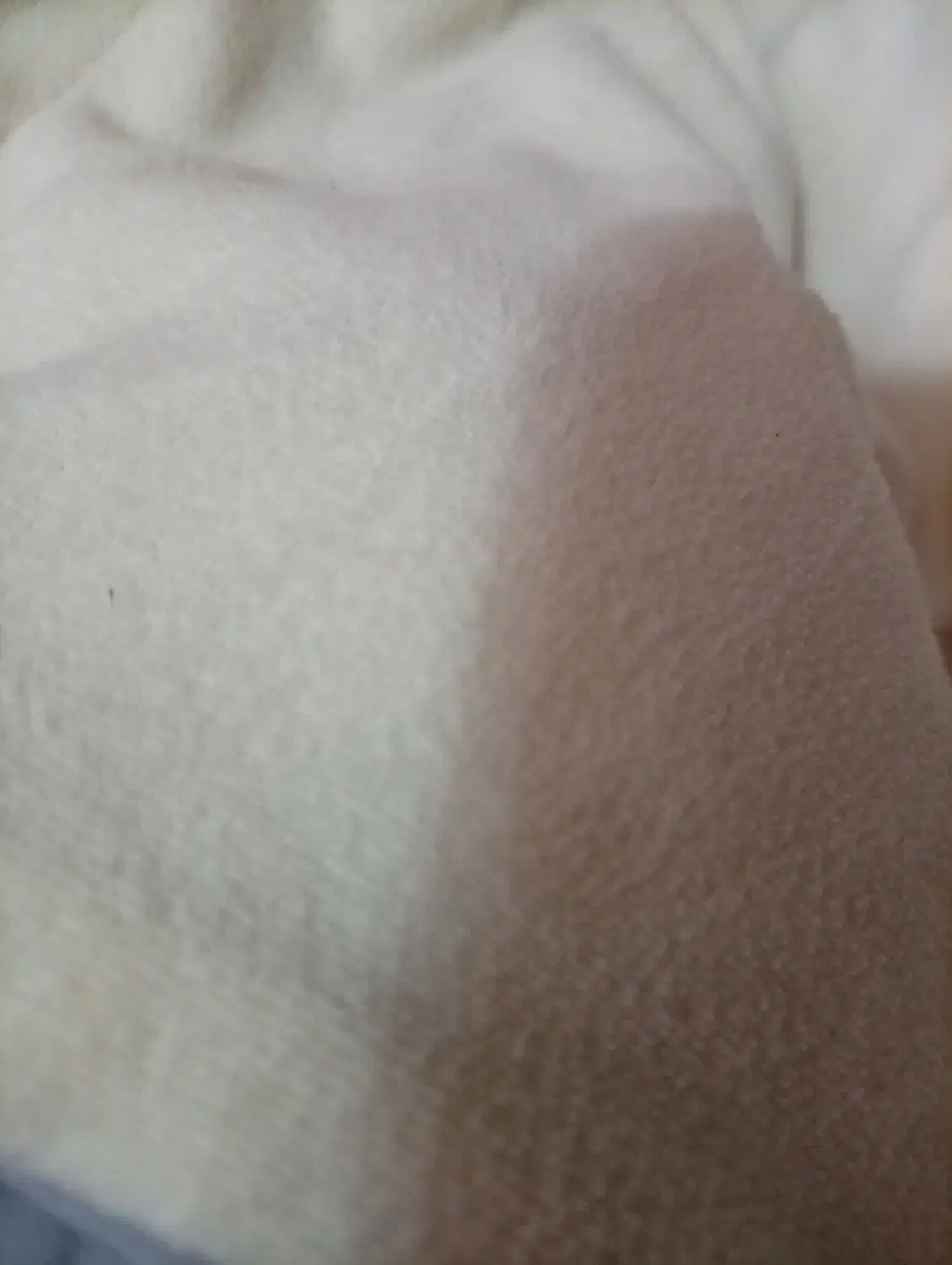 کاپشن بچگونه|کفش و لباس بچه|ساری, |دیوار