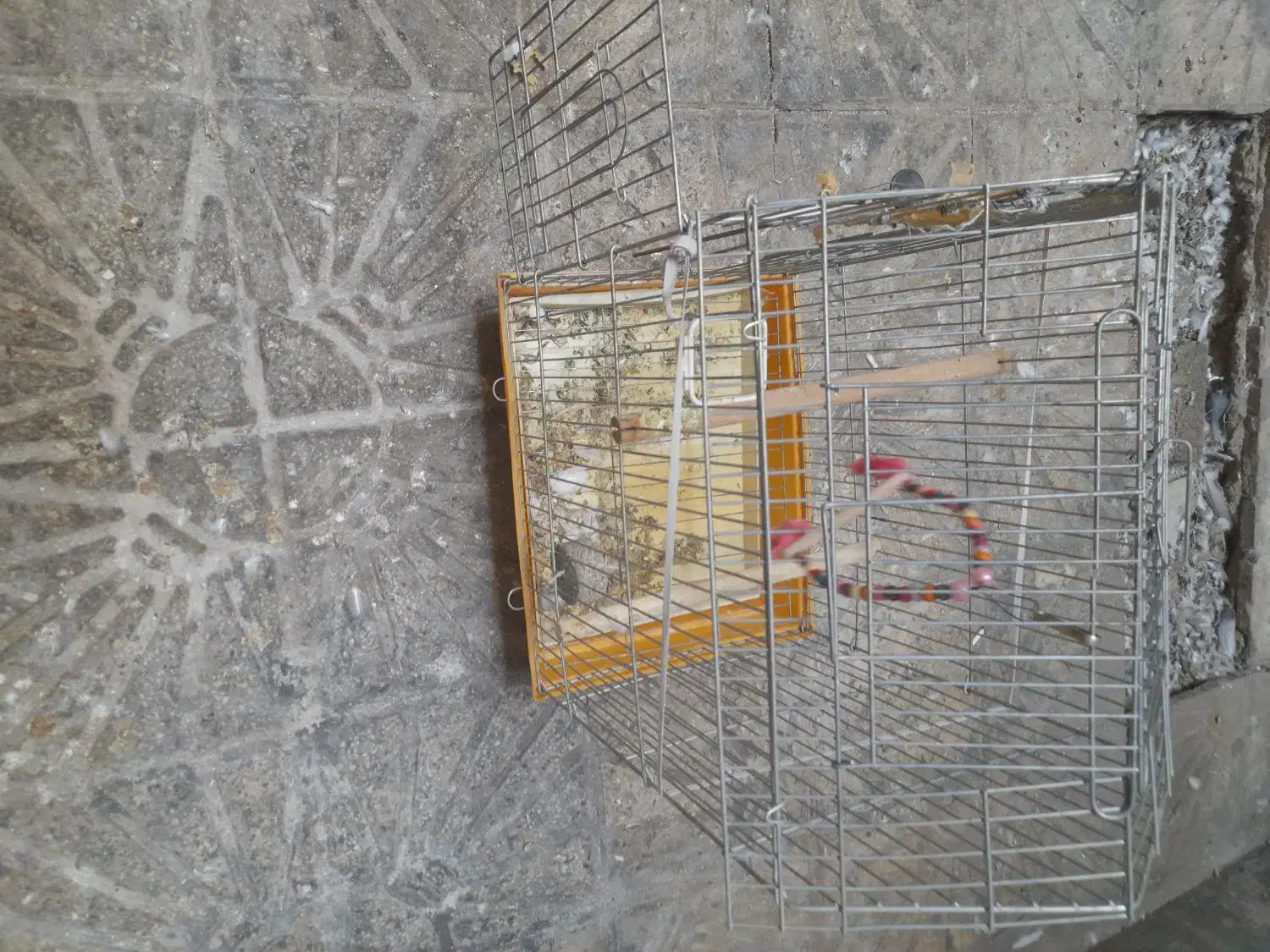 قفس بزرگ|لوازم جانبی حیوانات|بروجرد, |دیوار