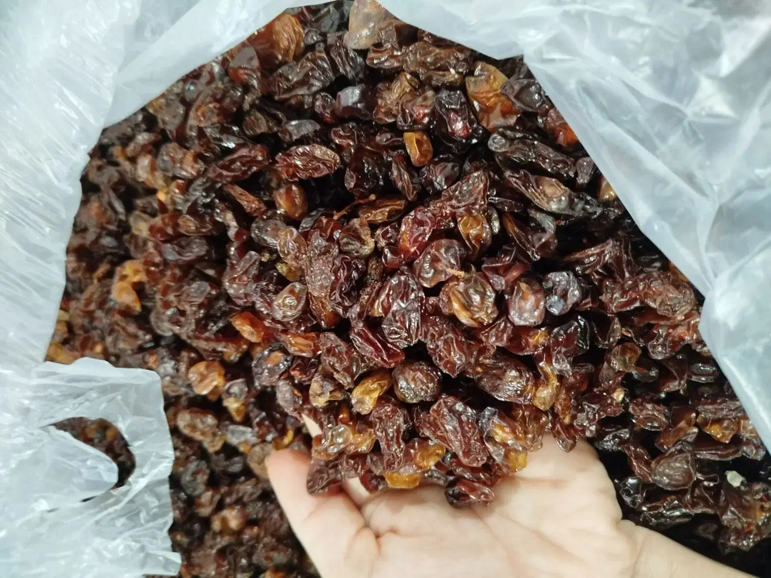 کشمش  تمیز|خوردنی و آشامیدنی|یاسوج, |دیوار