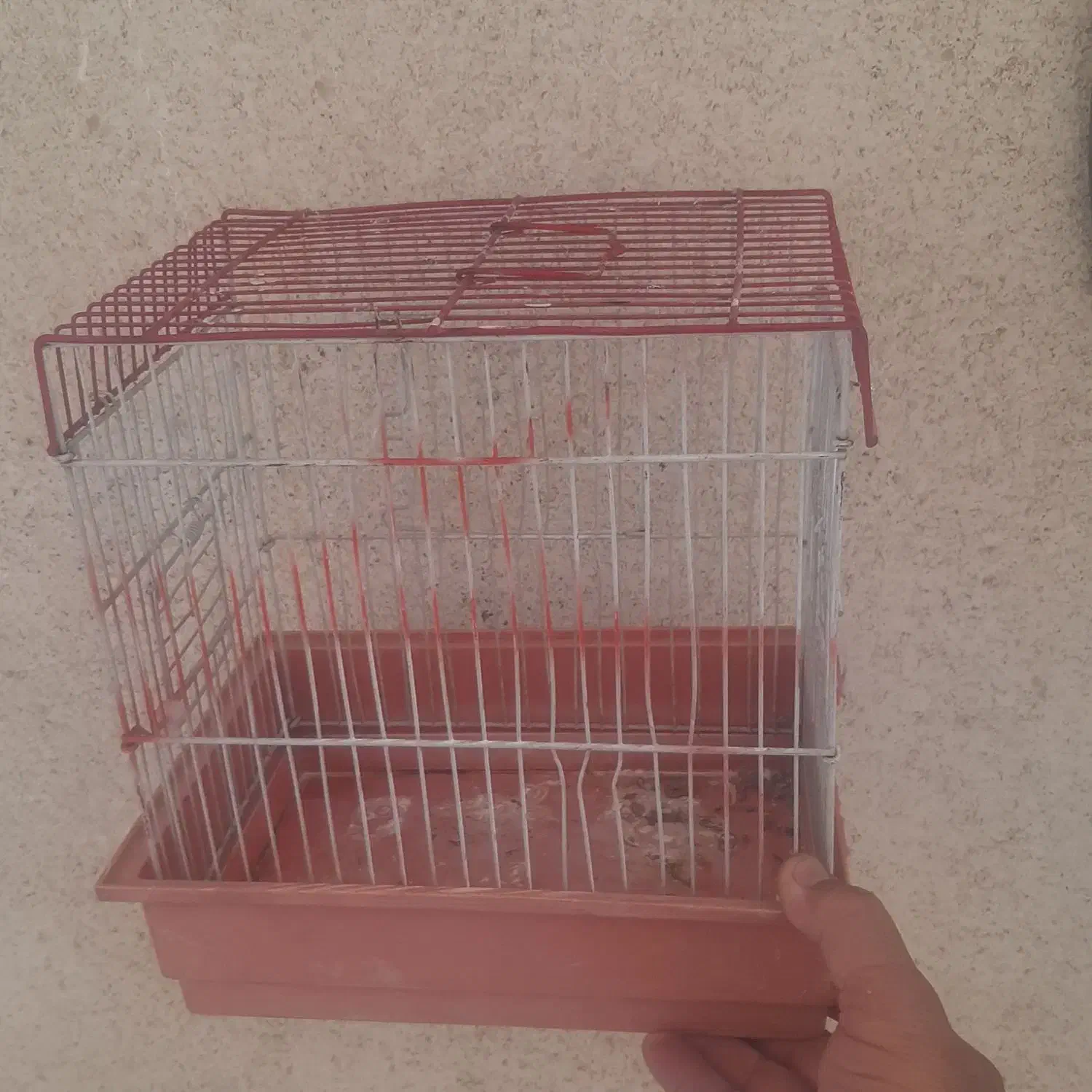 قفس همستر و    مرغعشق عروس هلندی|لوازم جانبی حیوانات|تهران, شهرک دریا|دیوار