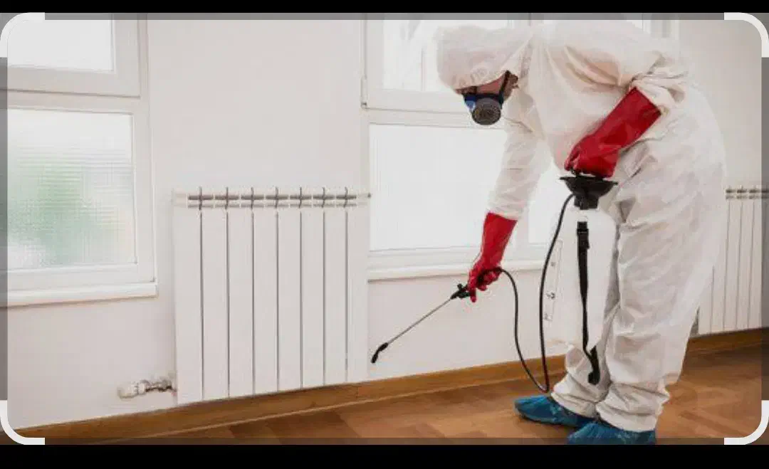 خدمات سمپاشی|خدمات نظافت|پردیس, فاز ۲|دیوار