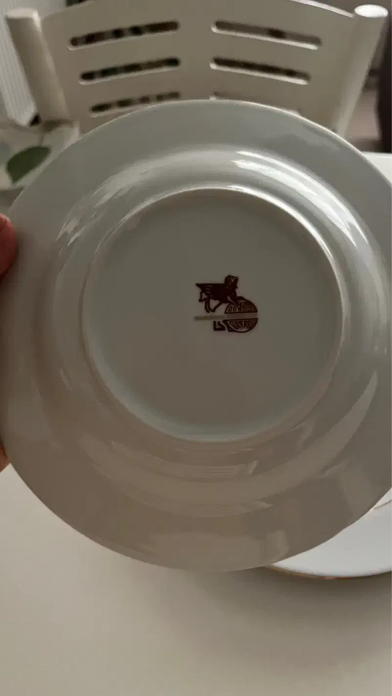 سرویس چینی مقصود|ظروف سرو و پذیرایی|اندیشه, اندیشه فاز ۴|دیوار