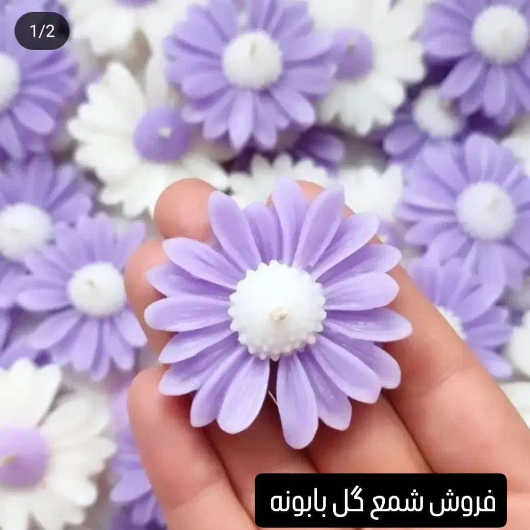 فروش گیفت شمع باگل لاله، بابونه،ارکیده،یخ وماشین|عمده‌فروشی|شیراز, میانرود|دیوار