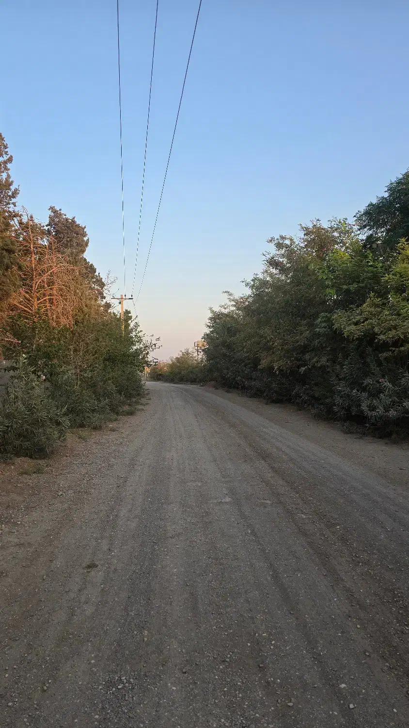 باغچه ۵۰۰متری ۵۰۰ملیون سند تک برگ|فروش دفتر صنعتی، کشاورزی، تجاری|تهران, نعمتآباد|دیوار