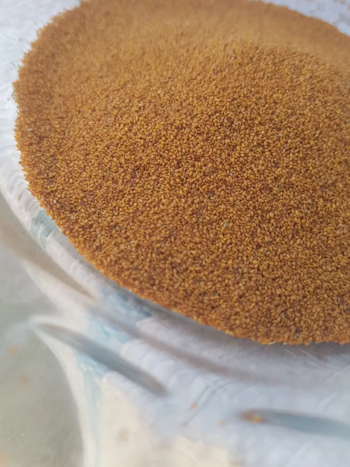 خاکشیر بذری|خوردنی و آشامیدنی|شیراز, دوکوهک|دیوار