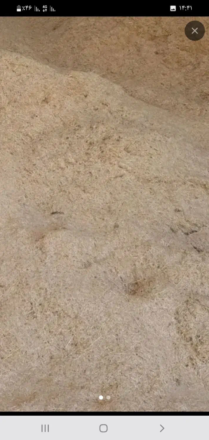 کاه گندم دیم|عمده‌فروشی|شراء, |دیوار