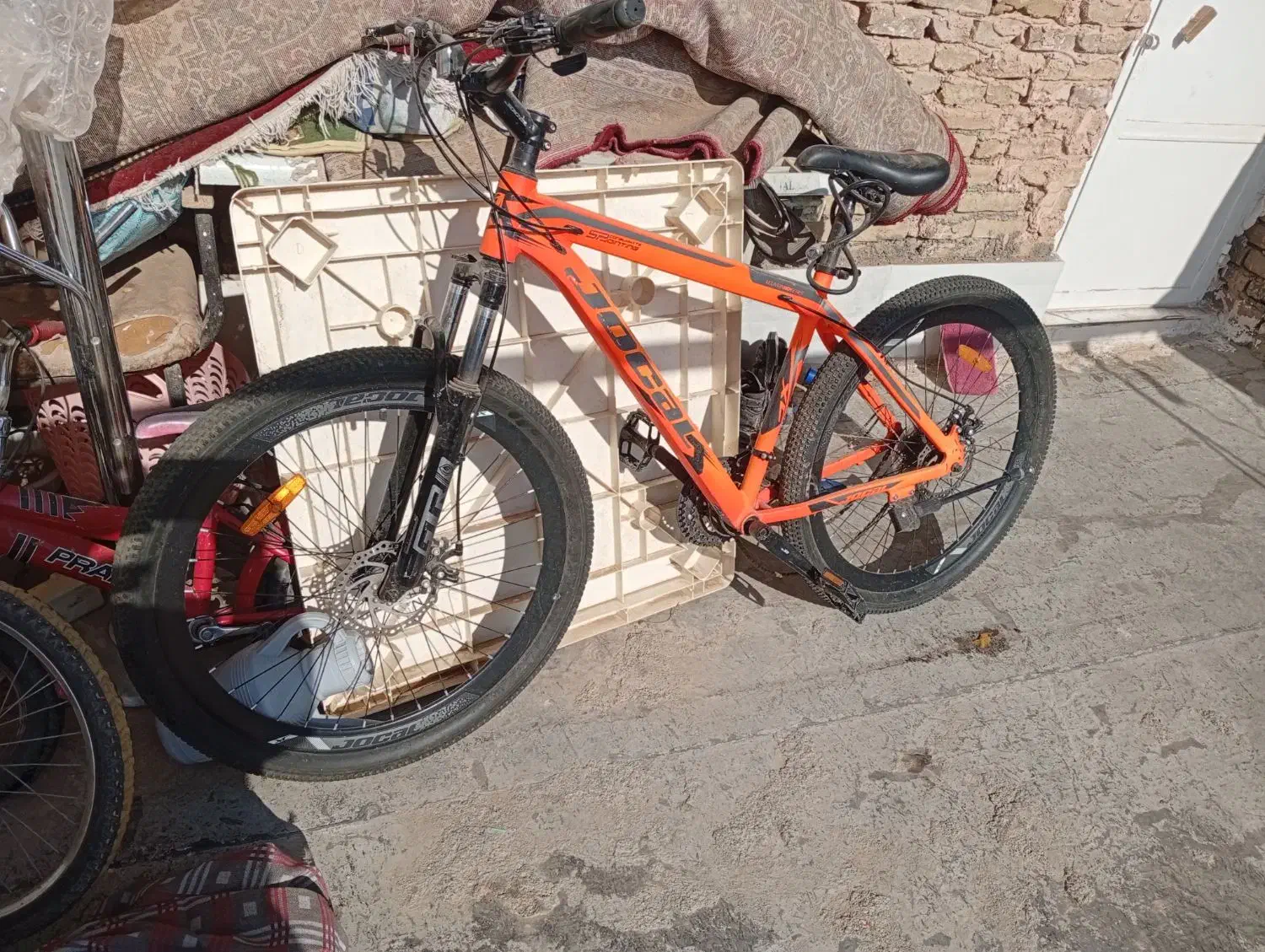 دوچرخه دندیی|دوچرخه، اسکیت، اسکوتر|سبزوار, قصبه شرقی|دیوار