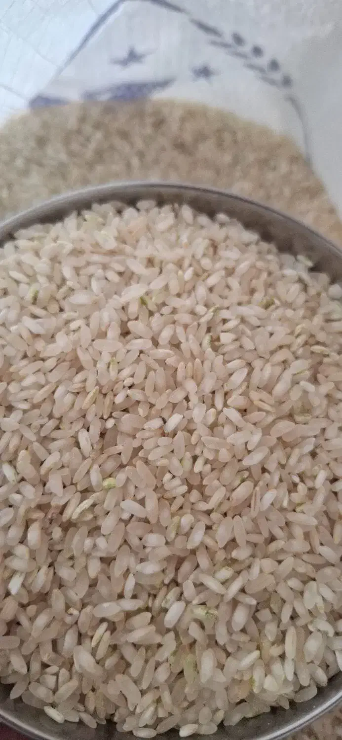 برنج کامفیروزی|خوردنی و آشامیدنی|شیراز, شهرک والفجر|دیوار