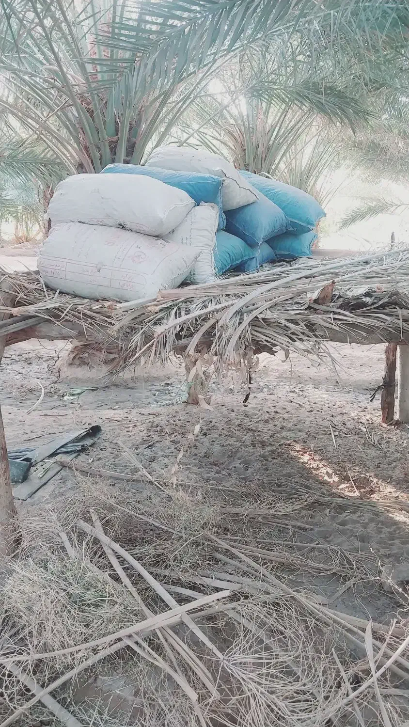 ضایعات خرما|عمدهفروشی|رودبار (کرمان), |دیوار