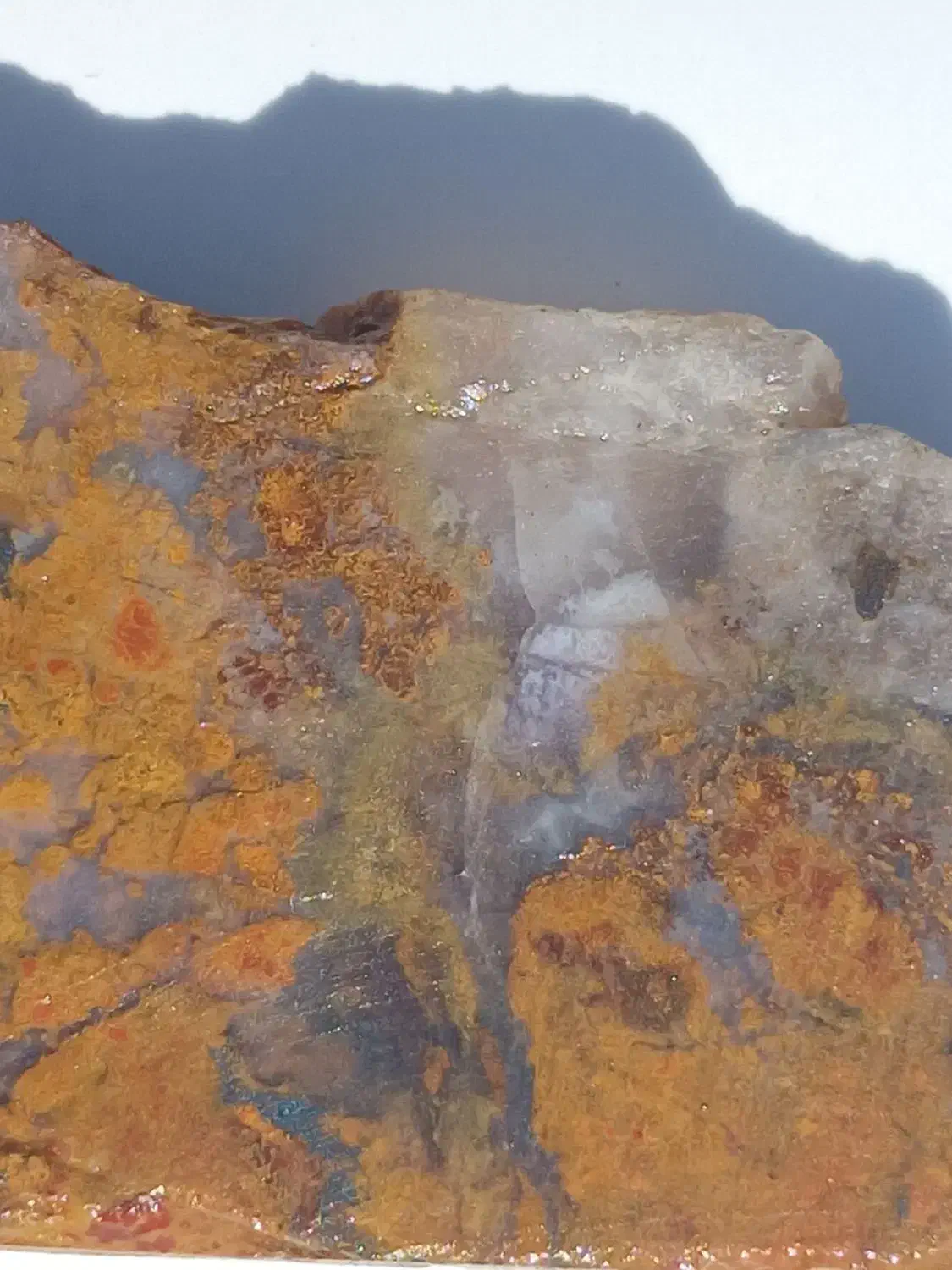 شجر گل اناری|جواهرات|زنجان, |دیوار