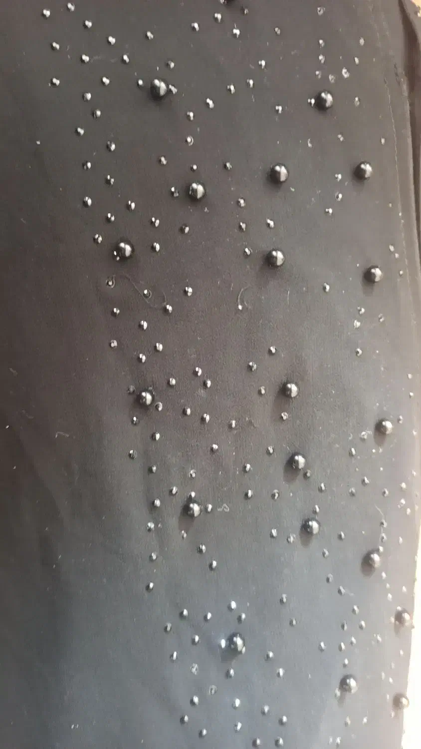 یک عدد عبای|لباس|بیرجند, |دیوار