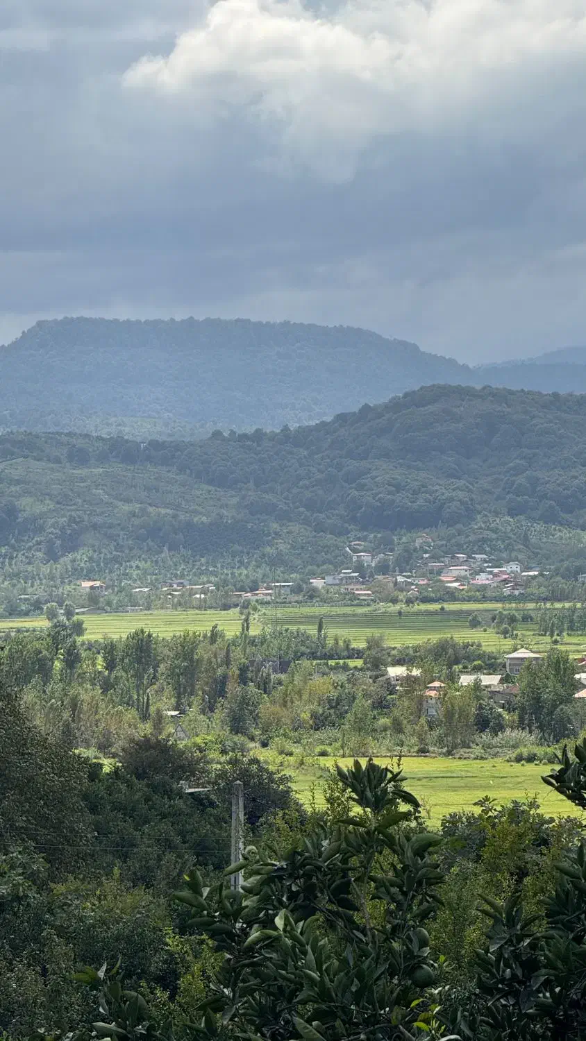 500 متر زمین بافت ویو ابدی در بابلکنار|فروش زمین و ملک کلنگی|شیرگاه, |دیوار