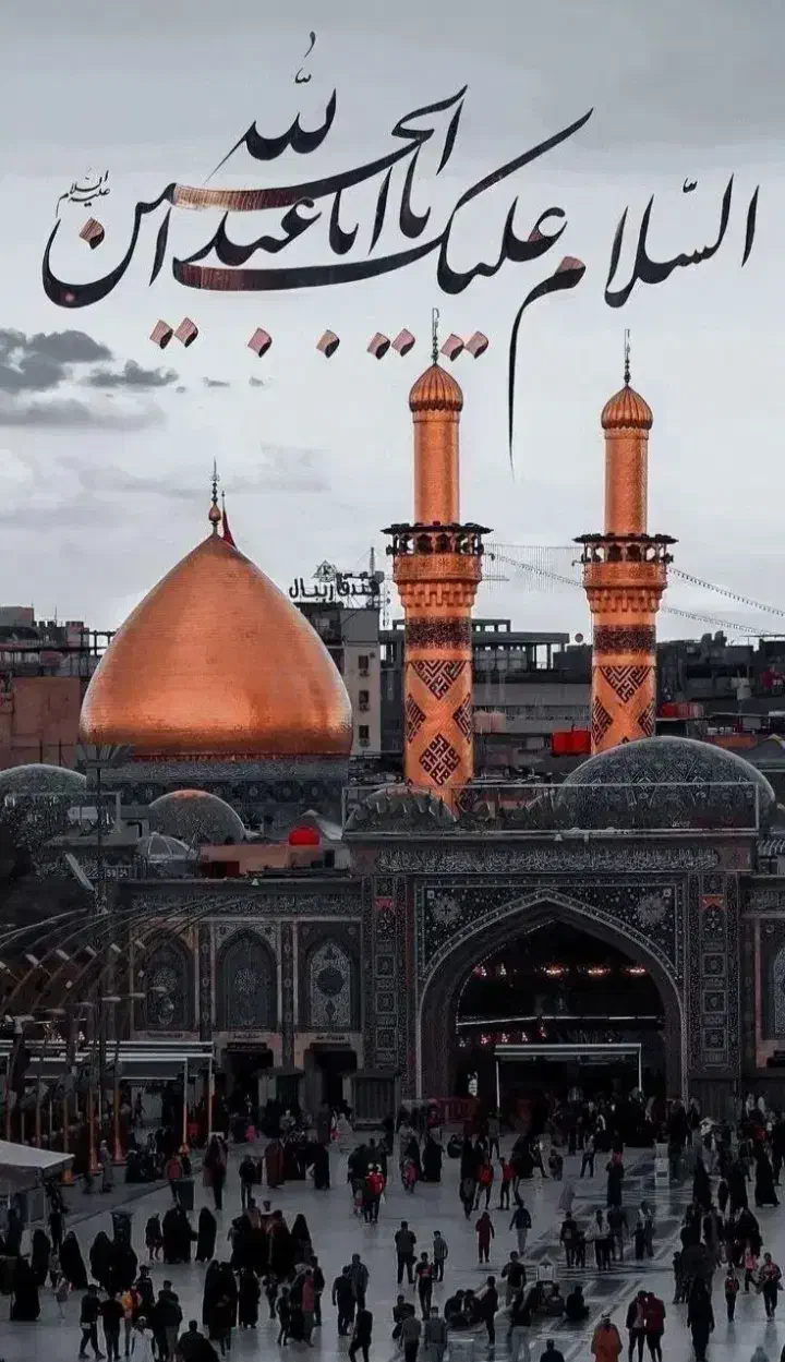 تور نجف کربلا دو سر هوایی|تور و چارتر|تهران, سهروردی|دیوار