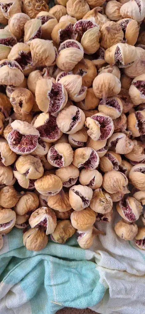 انواع انجیر|خوردنی و آشامیدنی|شیراز, درکی|دیوار