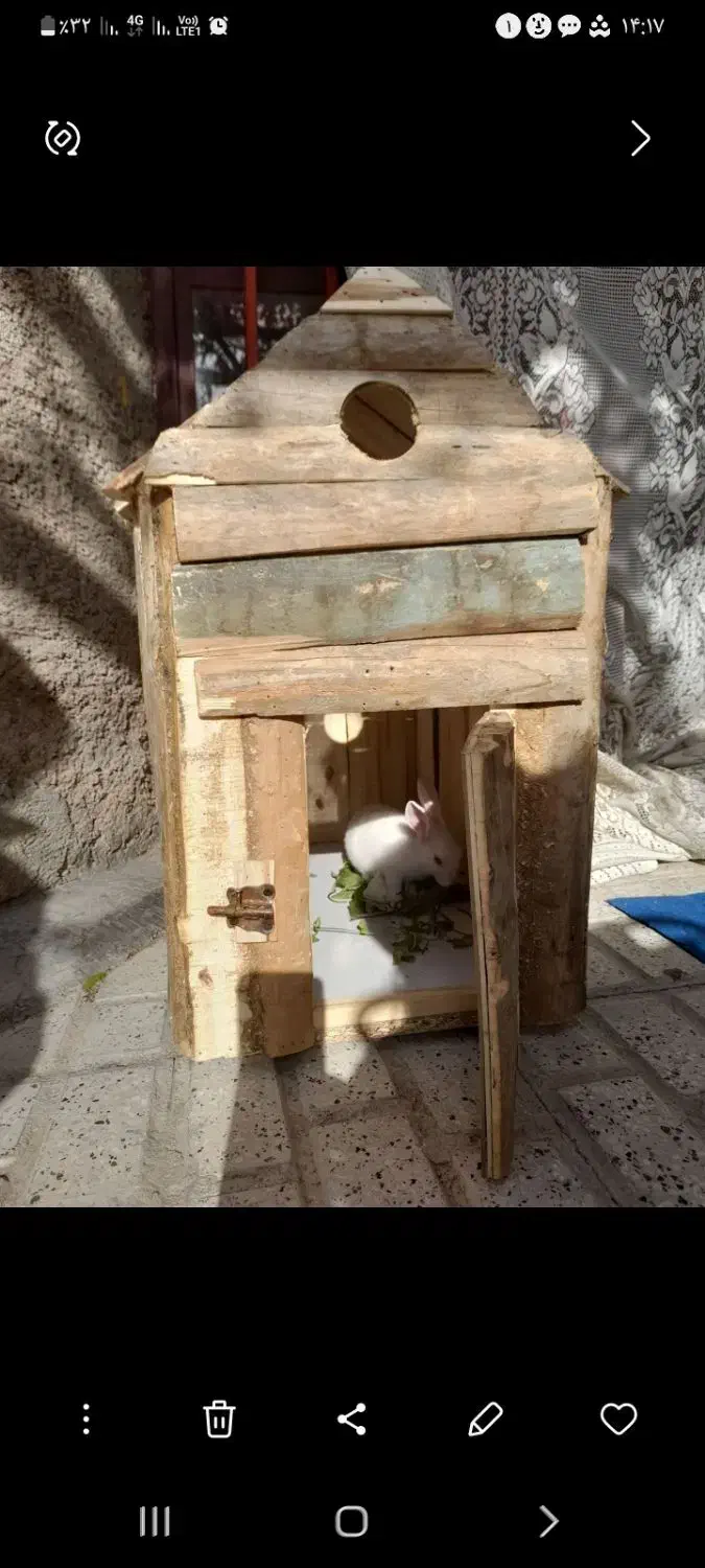 خانه چوبی|لوازم جانبی حیوانات|قوچان, |دیوار