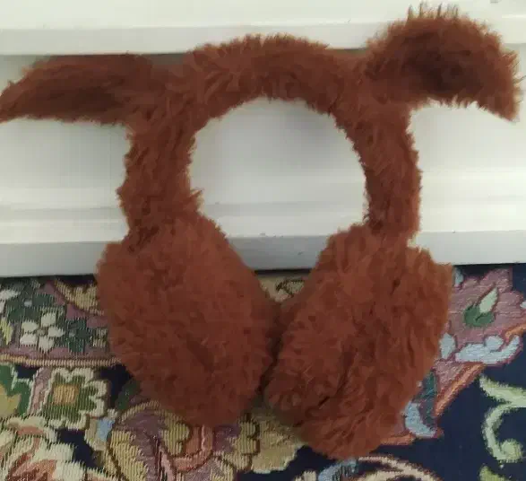 گوش گیر خرگوشی|لباس|خرم‌آباد, |دیوار