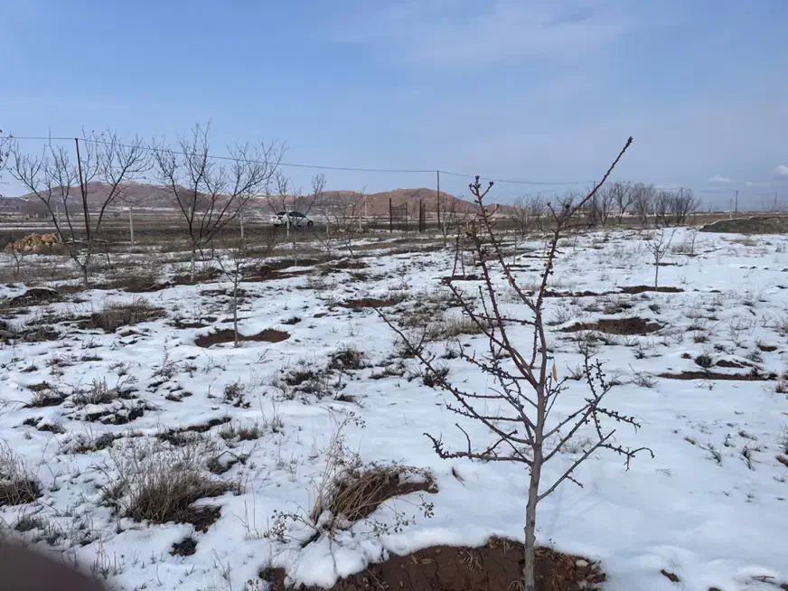 باغ زمین ۳۷۰۰ متری|فروش زمین و ملک کلنگی|قره قوین, |دیوار