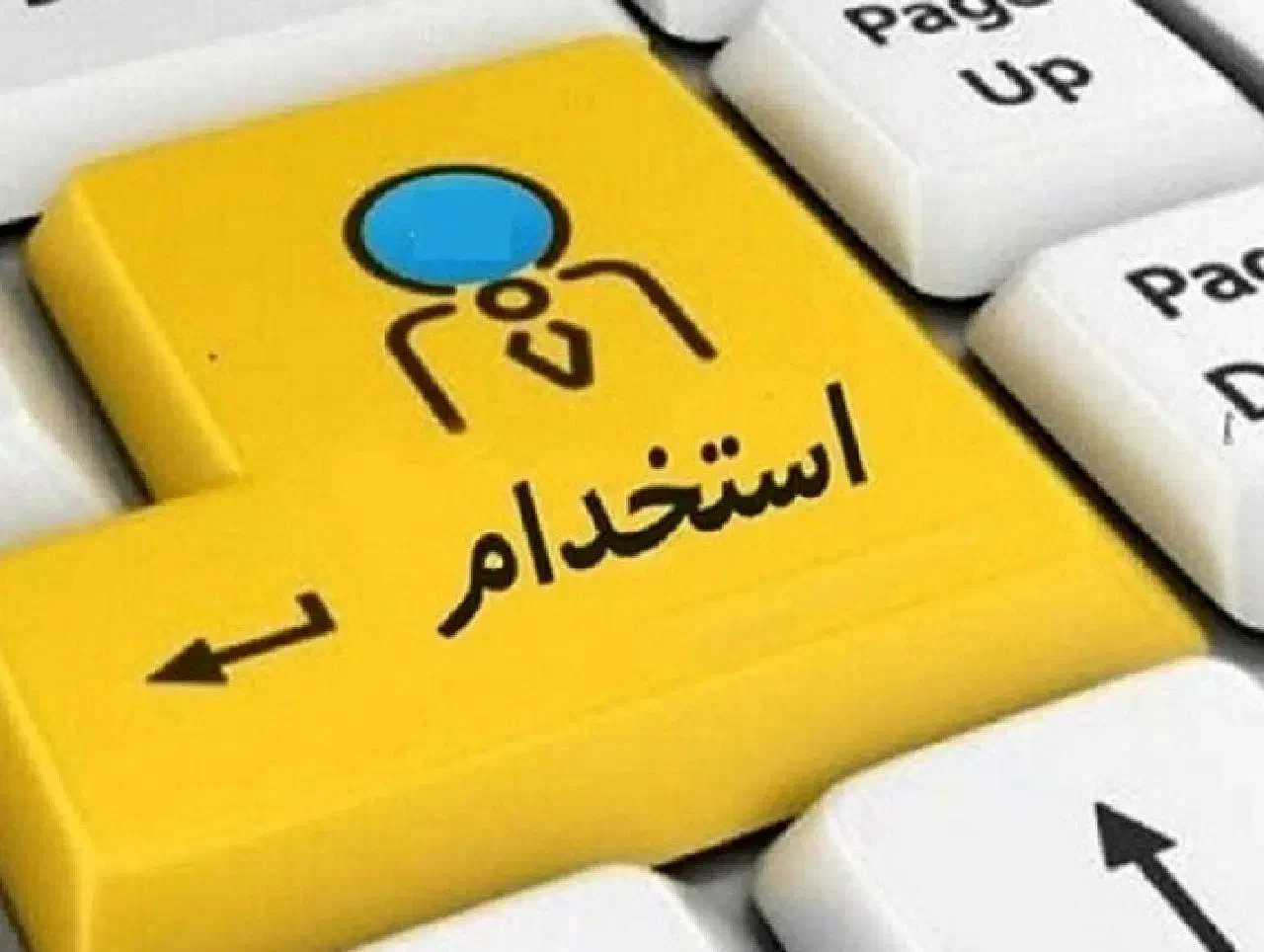 استخدام نیروی پشتیبان سایت خانم|استخدام رایانه و فناوری اطلاعات|شیراز, سایت اداری|دیوار