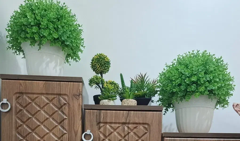 گل مصنوعی|گل مصنوعی|رشت, شهرک آیت الله منتظری|دیوار