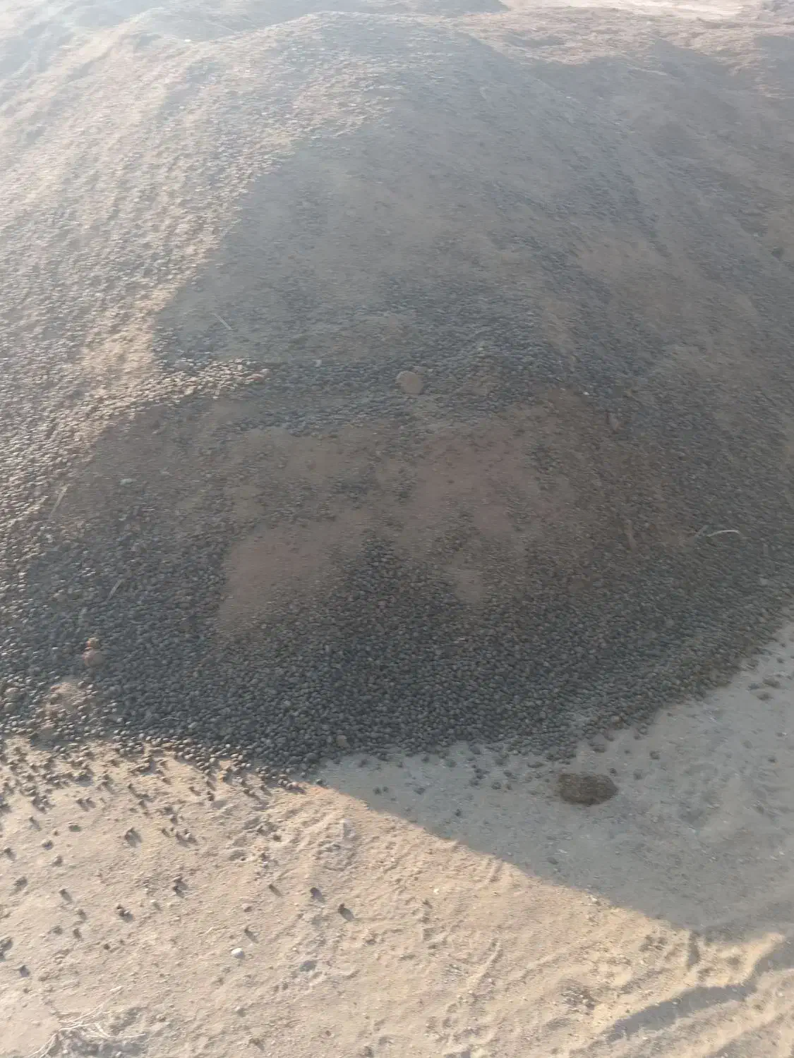 کود پوسیده گاوی وگوسفندی خاک باغچه تصمینی|خدمات باغبانی و درختکاری|هشتگرد, تهران دشت|دیوار