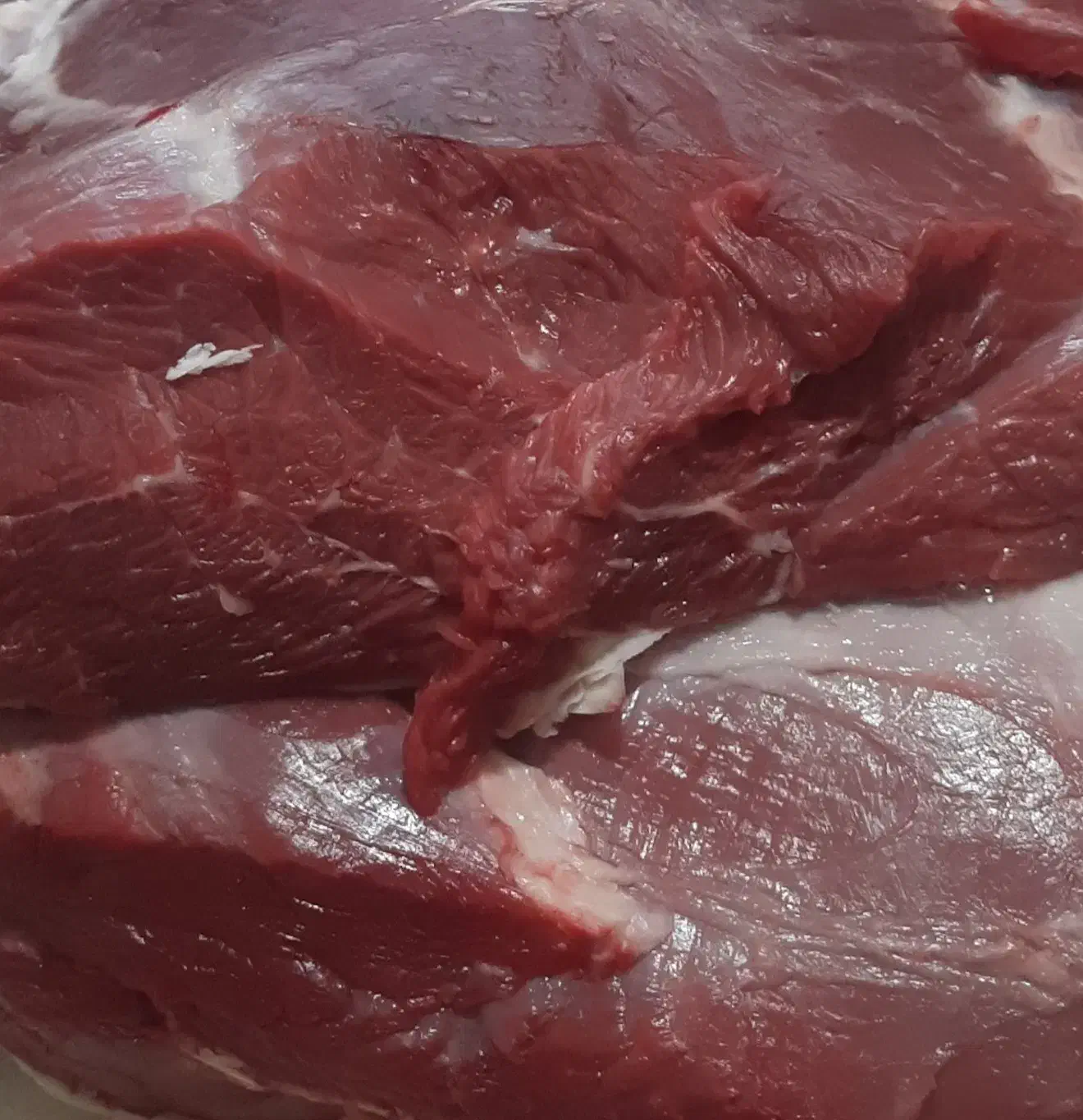 گوشت|خوردنی و آشامیدنی|موچش, |دیوار