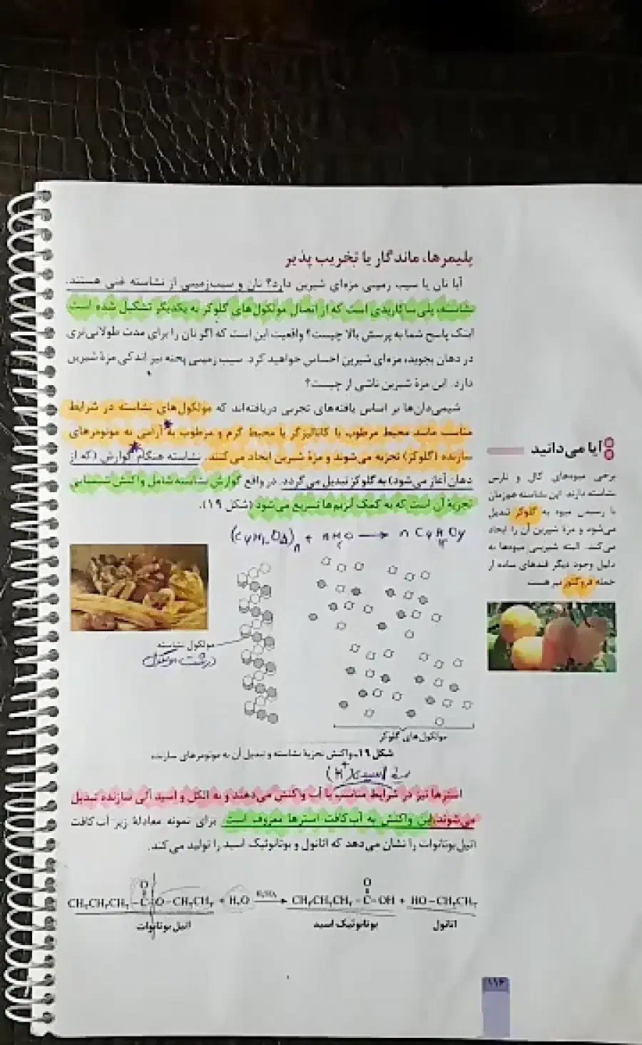 تدریس شیمی دهم و یازدهم        و علوم هفتم تا نهم|خدمات آموزشی|بهبهان, |دیوار