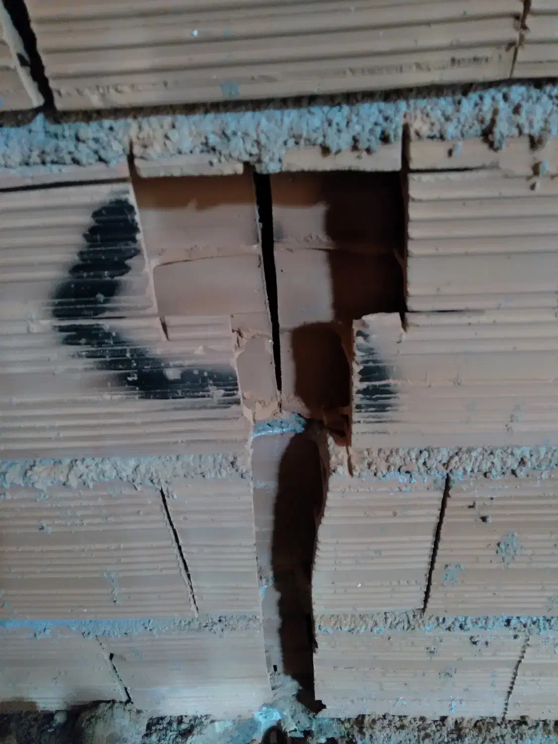 برقکاری ساختمان|خدمات پیشه و مهارت|مینودشت, |دیوار