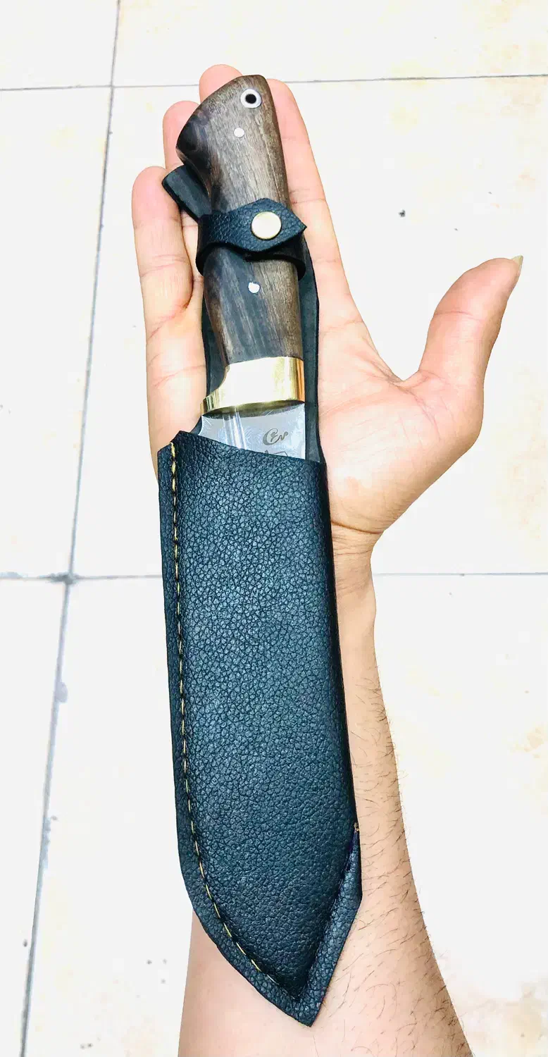 فروش چاقو|ظروف پختوپز|بندرعباس, |دیوار