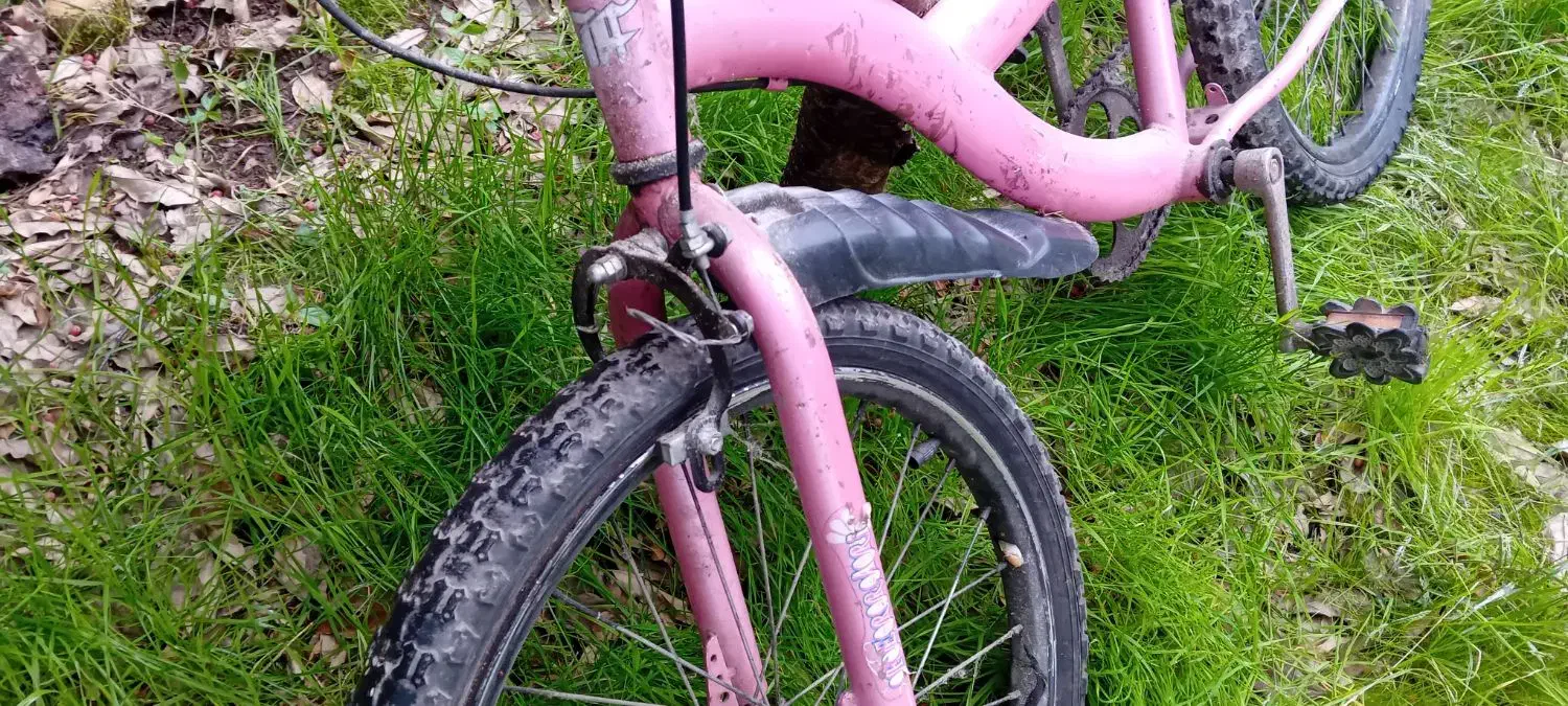 دوچرخه صورتی بچه گانه|دوچرخه، اسکیت، اسکوتر|رشت, خمیران زاهدان|دیوار