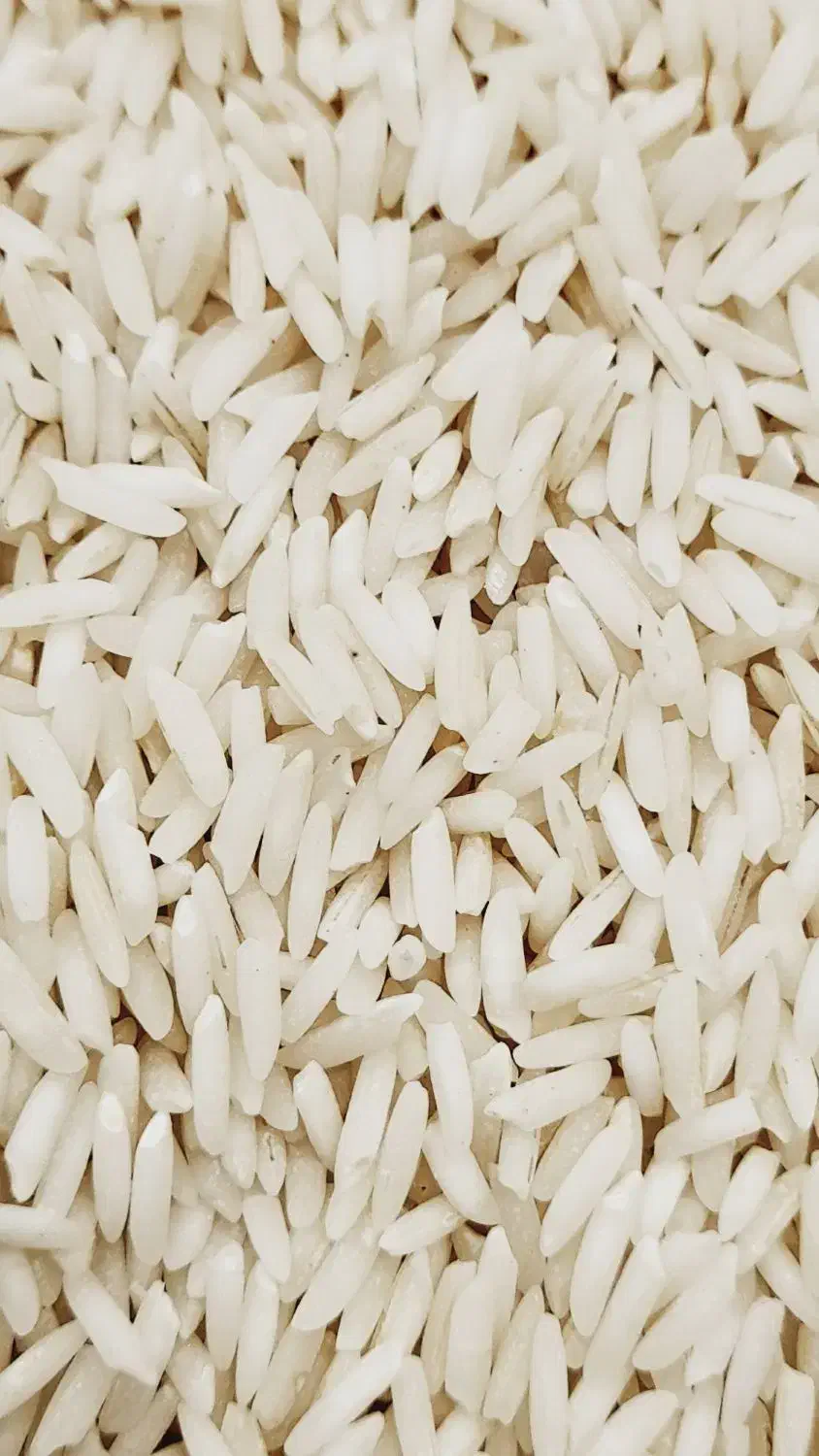 برنج صدری زرد دم|خوردنی و آشامیدنی|رشت, نخودچر|دیوار