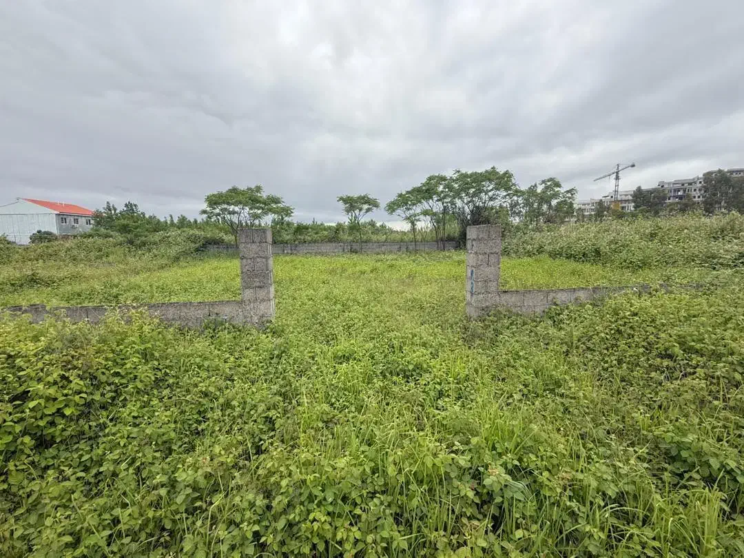 فروش زمین داخل طرح منطقه آزادکاسپین/2پلاک‌ کنار هم|فروش زمین و ملک کلنگی|رشت, گلسار|دیوار